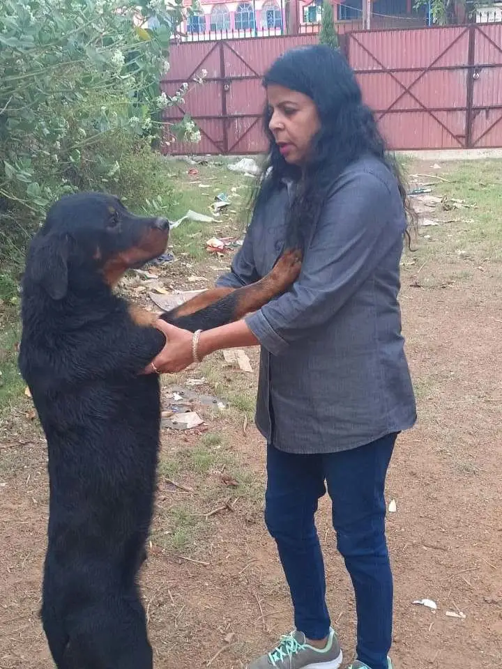 Animal welfare moment 9